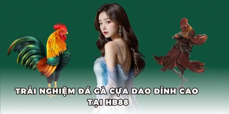 Đá gà cựa dao tại HB88 có tỷ lệ trả thưởng hấp dẫn.