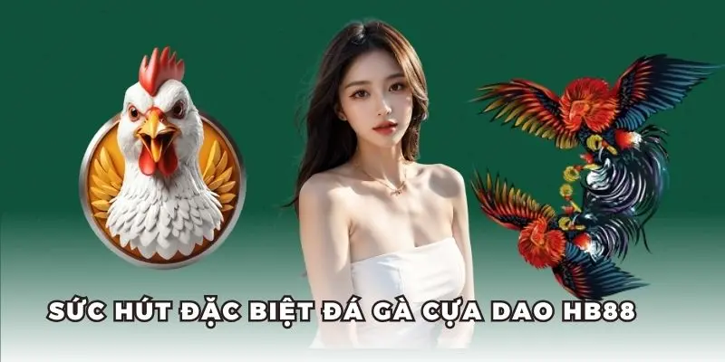 Mỗi trận đấu đá gà cựa dao đều diễn ra kịch tính và gay cấn.