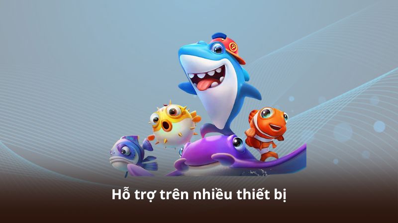Hỗ trợ trên nhiều thiết bị